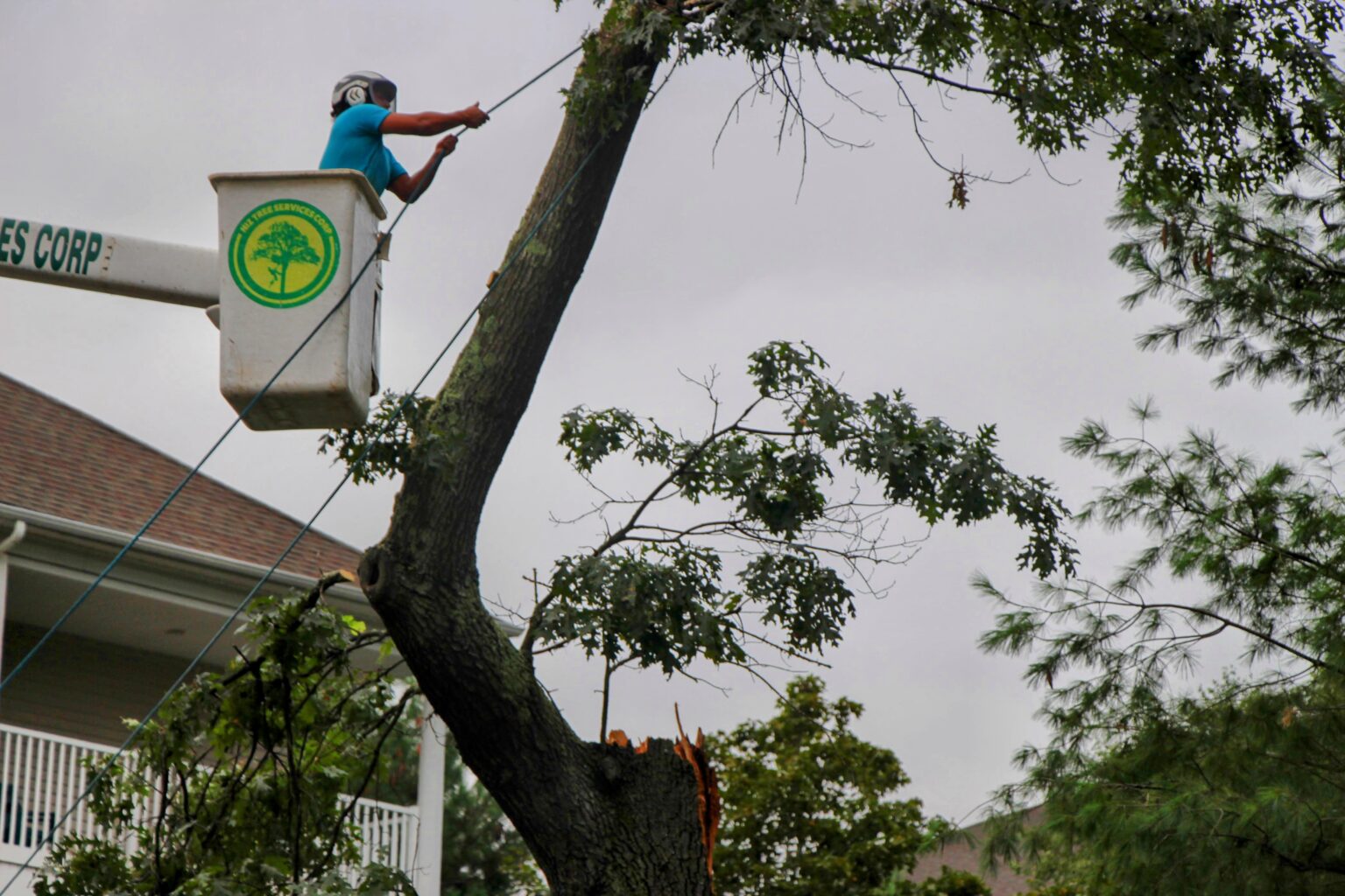 PHOTOS Andover’s Microburst Cleanup Andover News