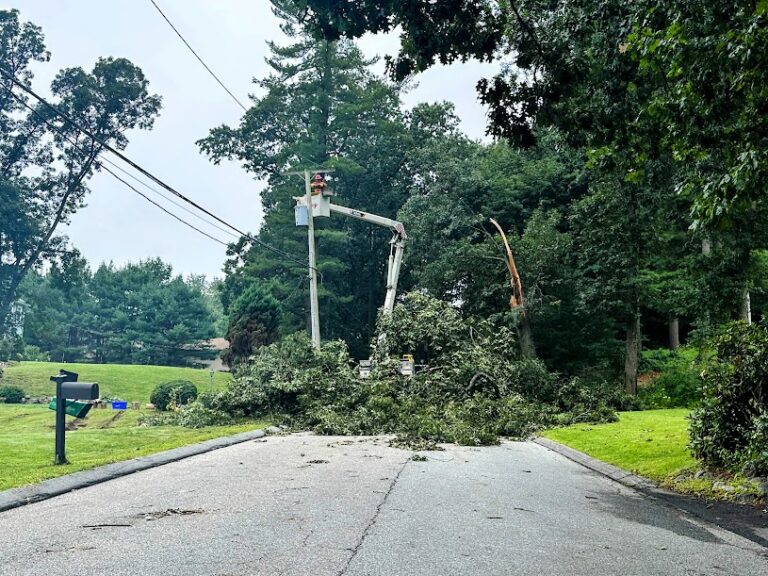 READER PHOTOS Andover’s Microburst Cleanup Andover News